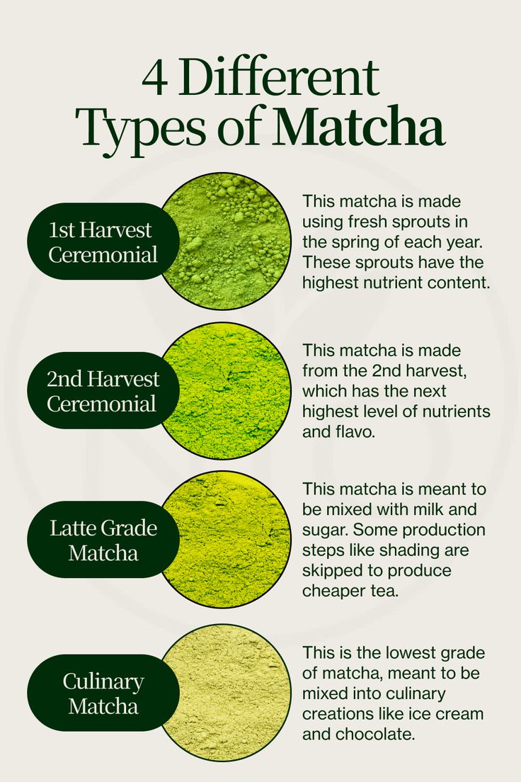 Which Matcha Is Right for You?